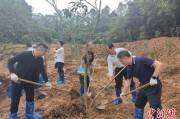 通许广州已打造首批32处“绿美宗教活动场所”