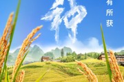 通许芒种节气小知识来了 夏种作物都有什么？