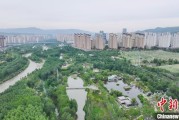 通许西宁市举办六五环境日主题宣传活动